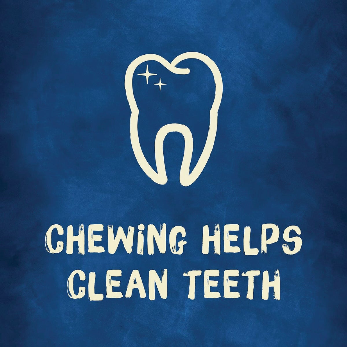 Purina Busy Bone Small & Medium Dog Peanut Butter Flavor Dental Dog Treat (2-Pack) Image 6