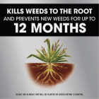 Roundup Dual Action 365 32 Oz. Exclusive Formula Concentrate Weed & Grass Killer Image 5