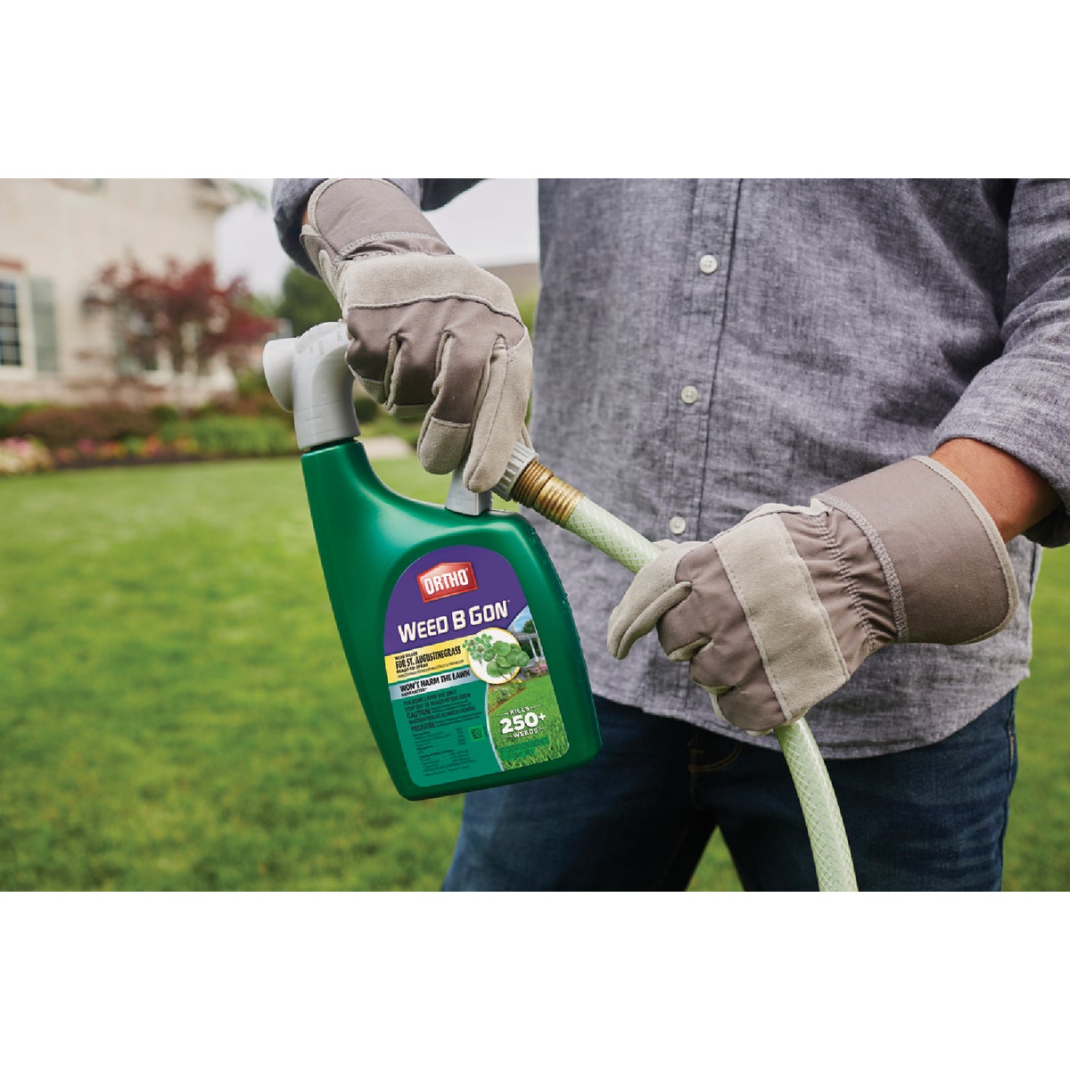 Ortho 32 Oz. Weed Killer for St. Augustinegrass Image 2