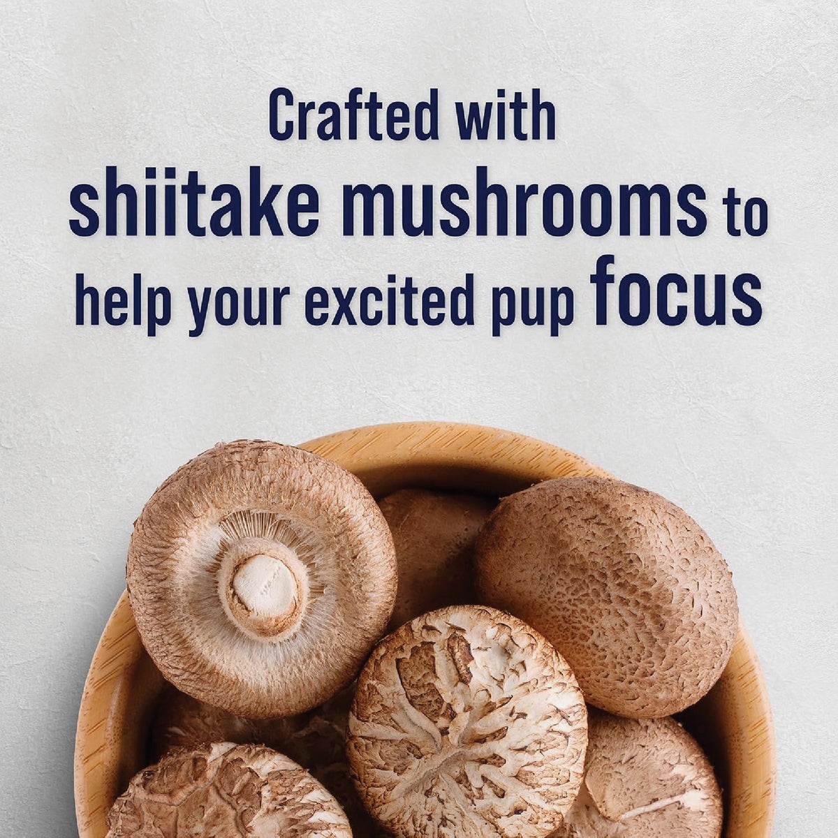 Stewart Focus 8 Oz. Freeze-Fried Salmon Dog Treat Image 2