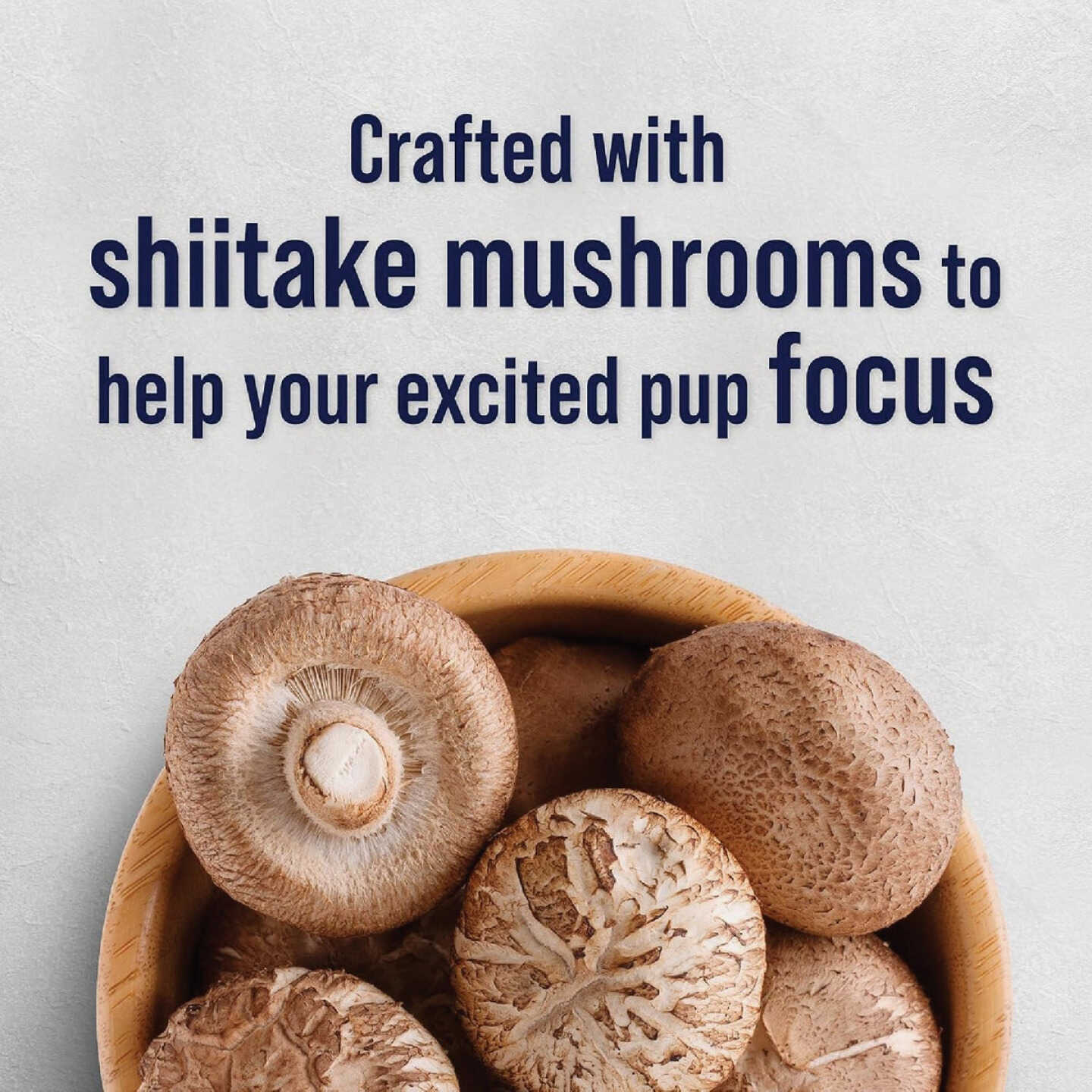 Stewart Focus 8 Oz. Freeze-Fried Salmon Dog Treat Image 2