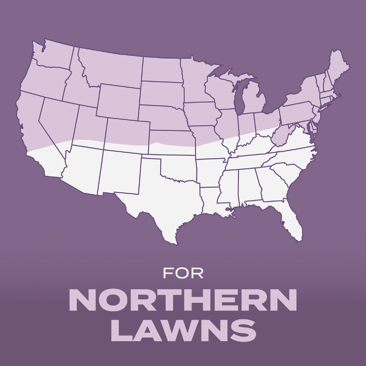 Scotts Turf Builder 5.6 Lb. 700 Sq. Ft. Perennial Ryegrass Mix Grass Seed, Fertilizer, and Soil Improver Combination Image 6