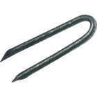 Do it Best 1-1/4 In. 9 ga Hot Galvanized Fence Staples (4350-Count, 50 Lb.) Image 1