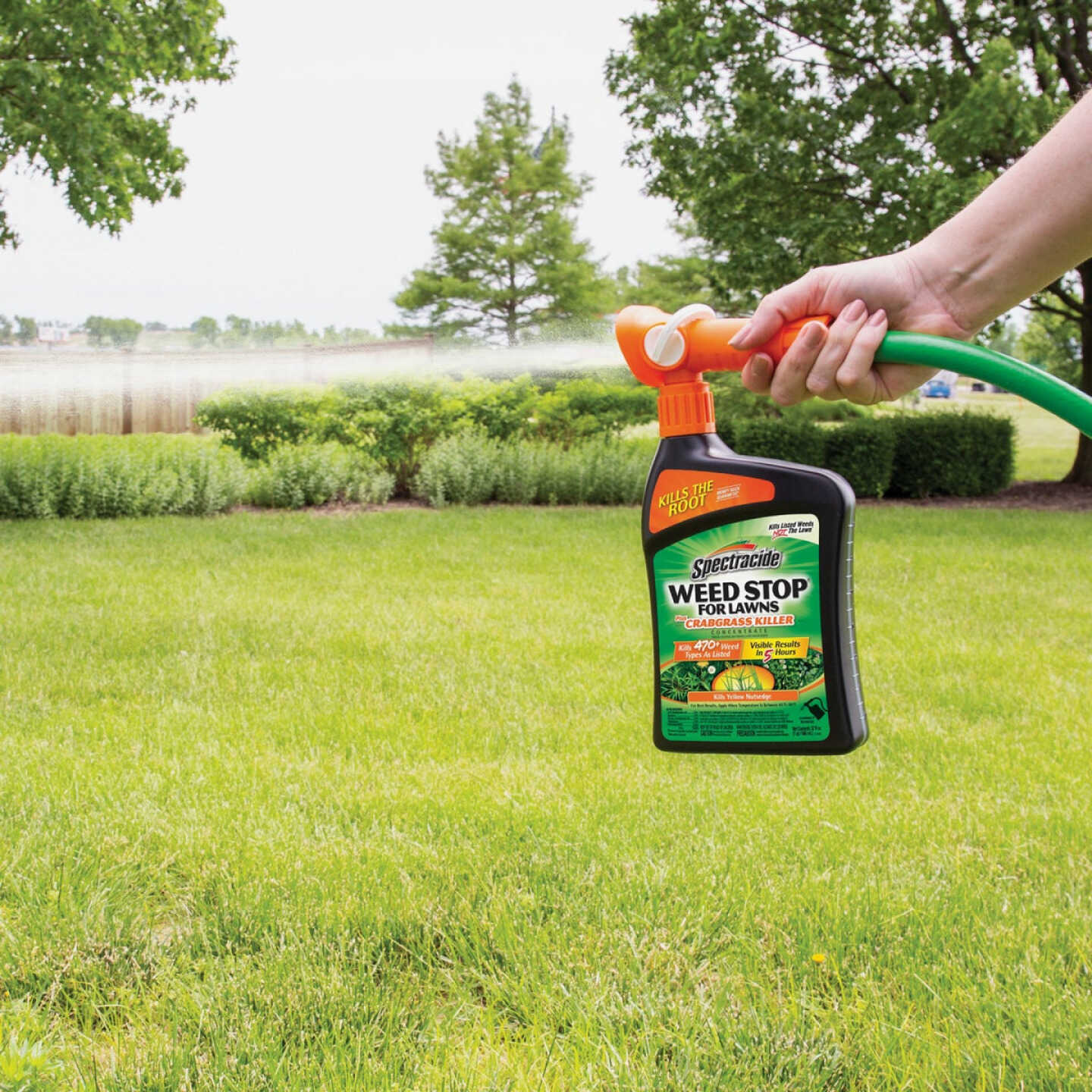 Spectracide Weed Stop For Lawns Plus Crabgrass Killer Concentrate 32 Oz. Ready To Spray Hose End Weed Killer Image 3