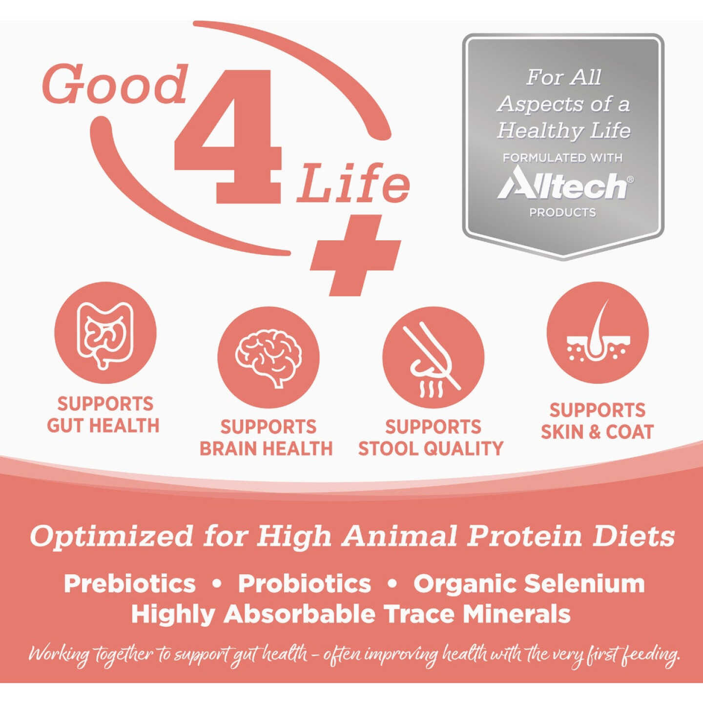 NutriSource 4 Lb. Ocean Select Recipe Grain Free Cat Food Image 3