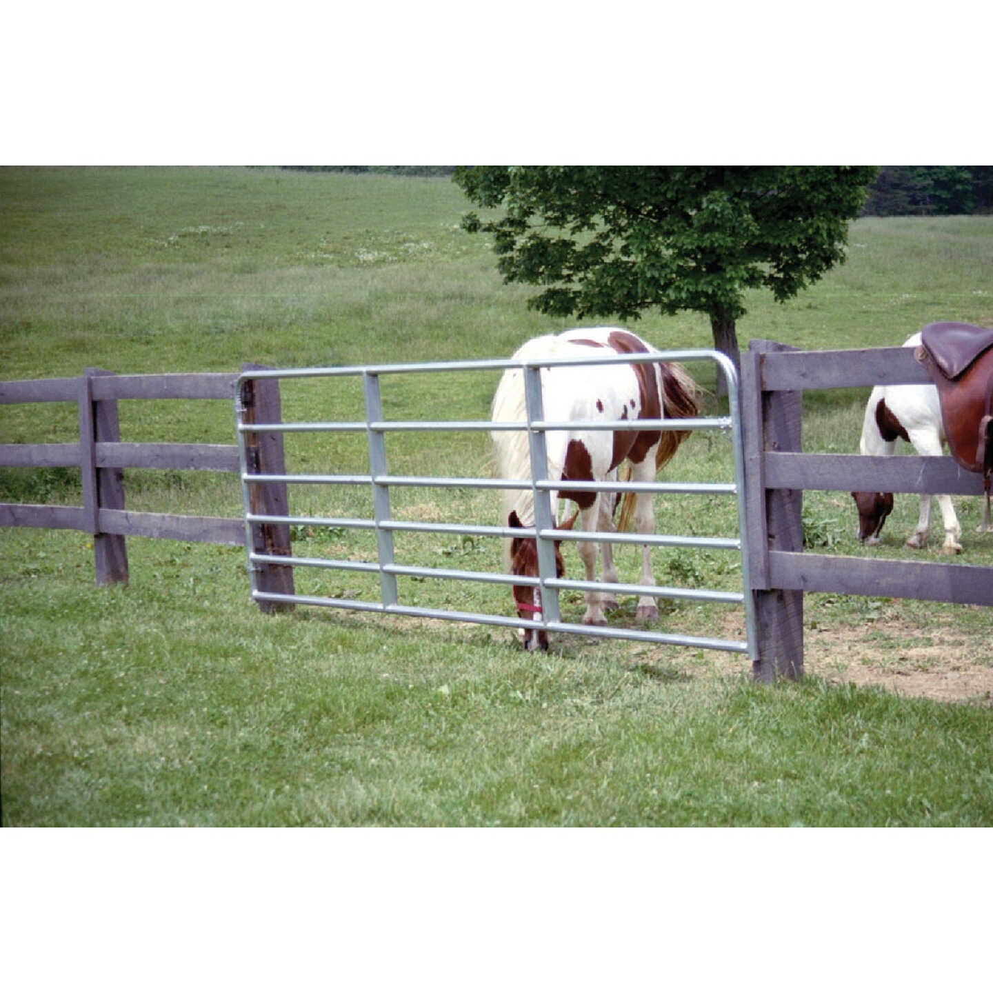 Tarter 50 In. H. x 16 Ft. L. x 1-3/4 In. Tube Diameter Galvanized Tube Gate Image 2