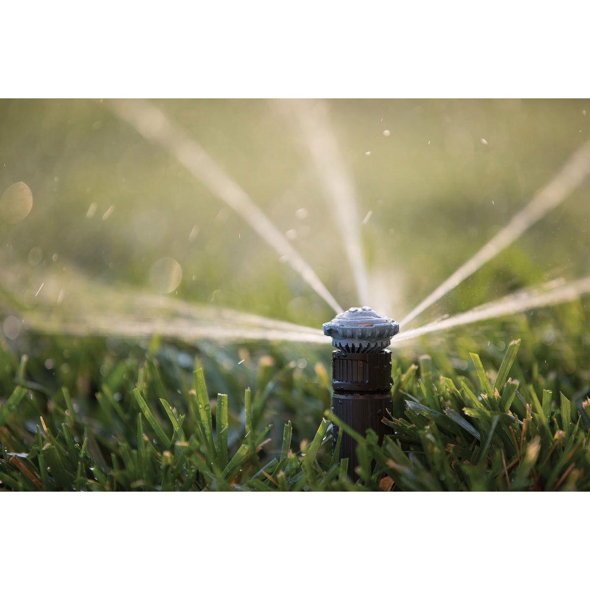 Rain Bird High Efficiency Adjustable Pattern Rotary Nozzle Image 2