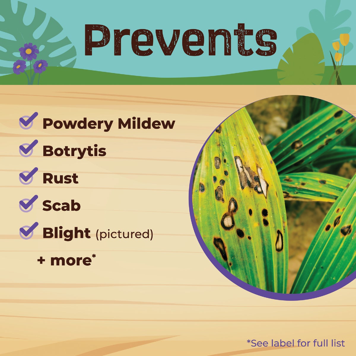 Bonide Captain Jack's 32 Oz. Concentrate Fruit Tree Insect & Disease Control Spray Image 4