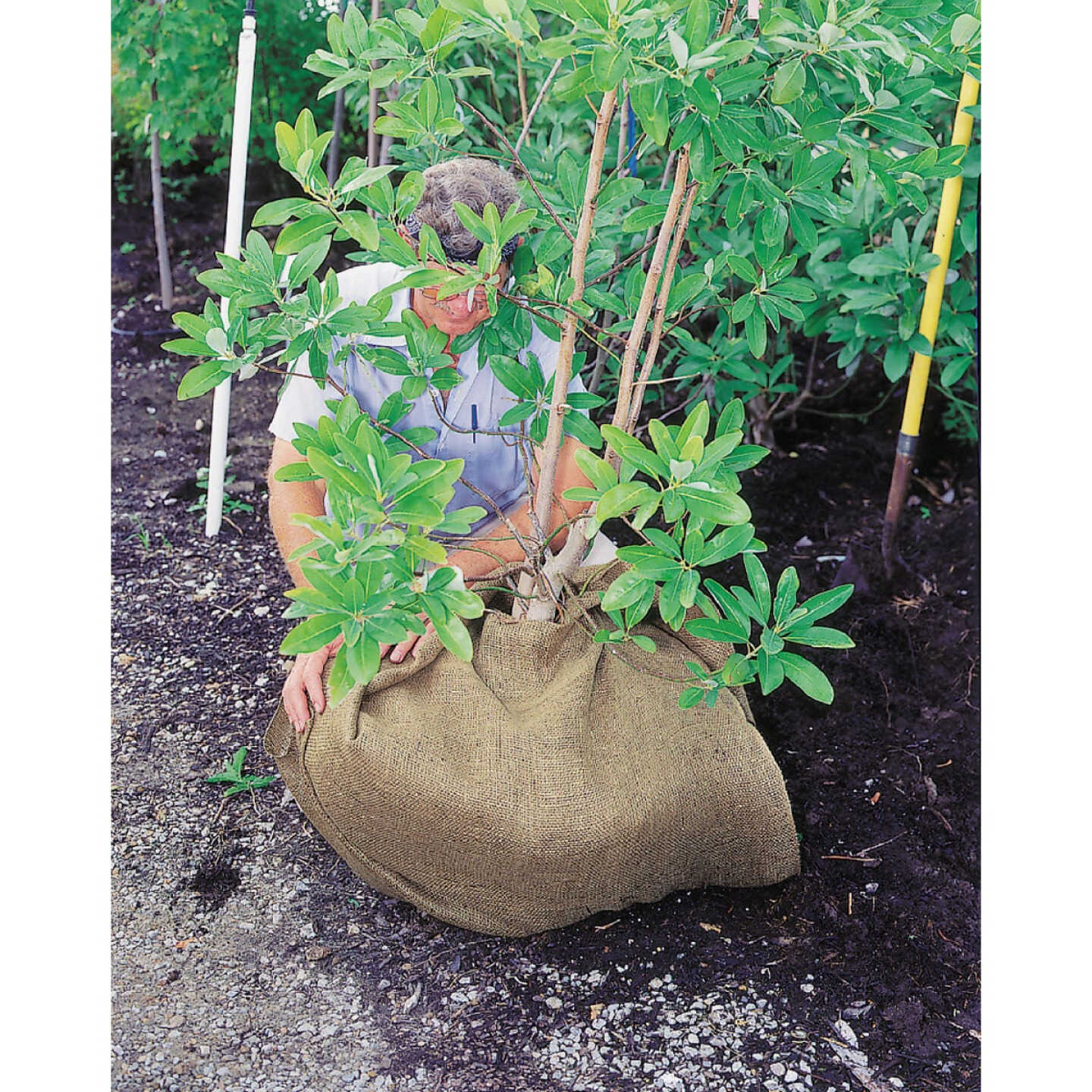 DeWitt 3 Ft. W. x 12 Ft. L. Natural Burlap Image 2