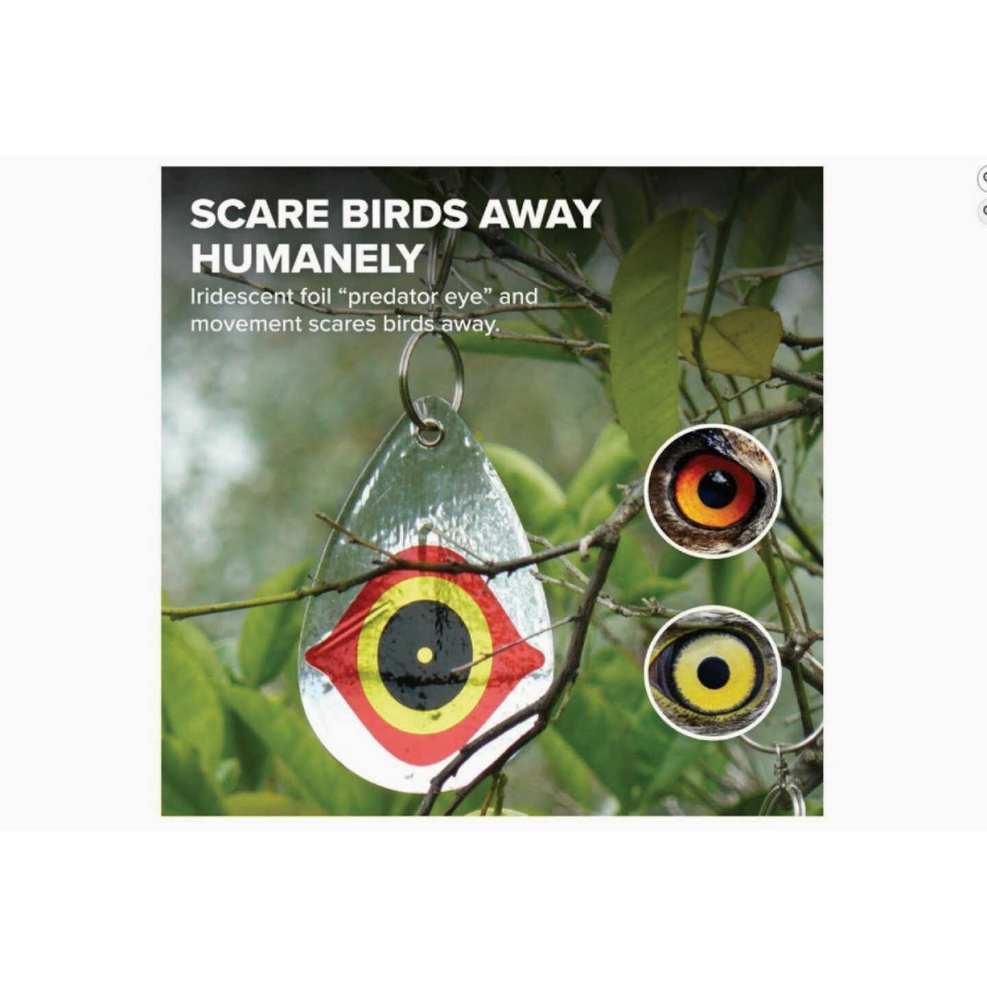 Bird-B-Gone Reflective Scare Bird Diverter (5-Pack) Image 2