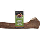 Redbarn Large Whole Elk Antler Dog Chew Image 1