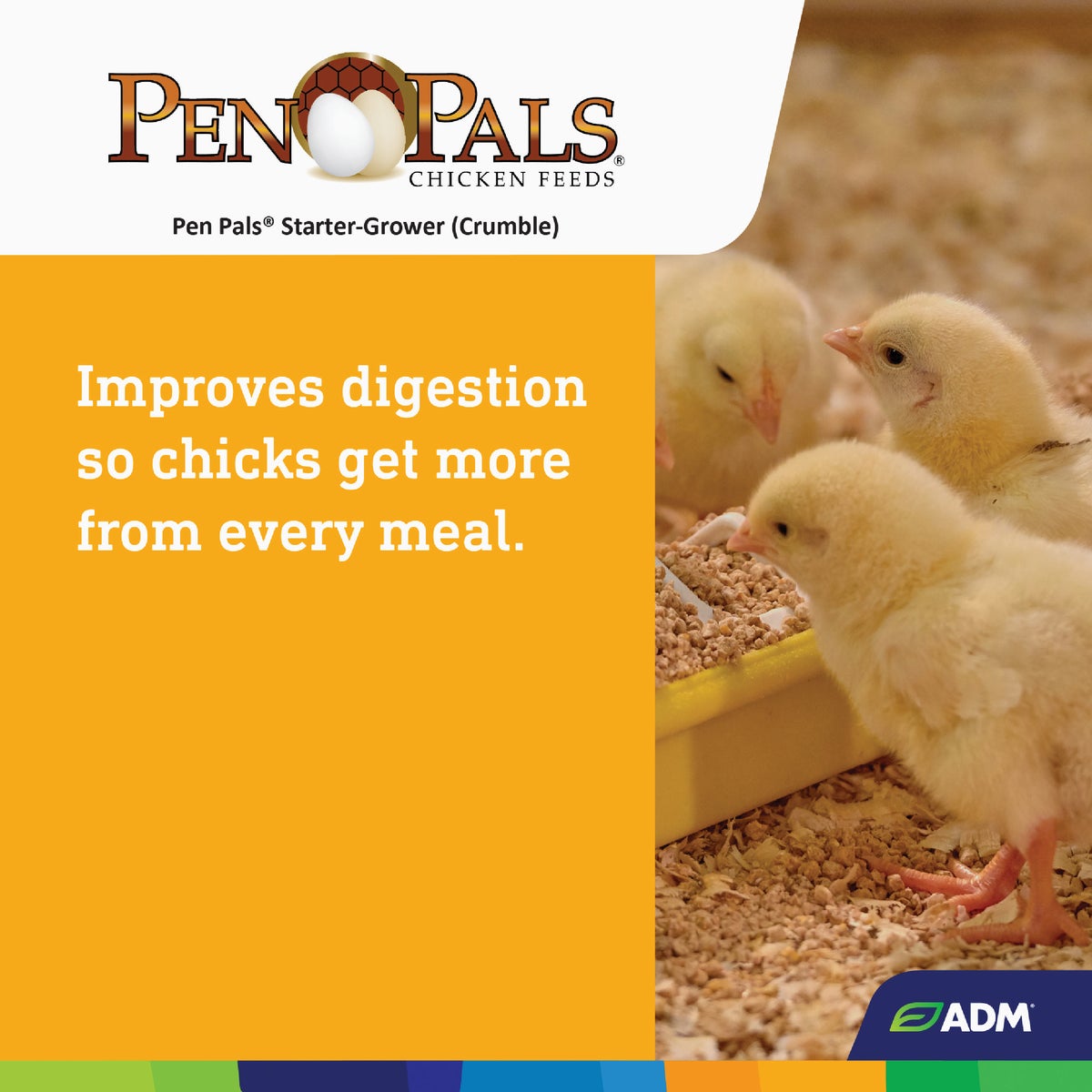 ADM Pen Pals 5 Lb. Chicken Starter/Grower Chicken Feed Image 5