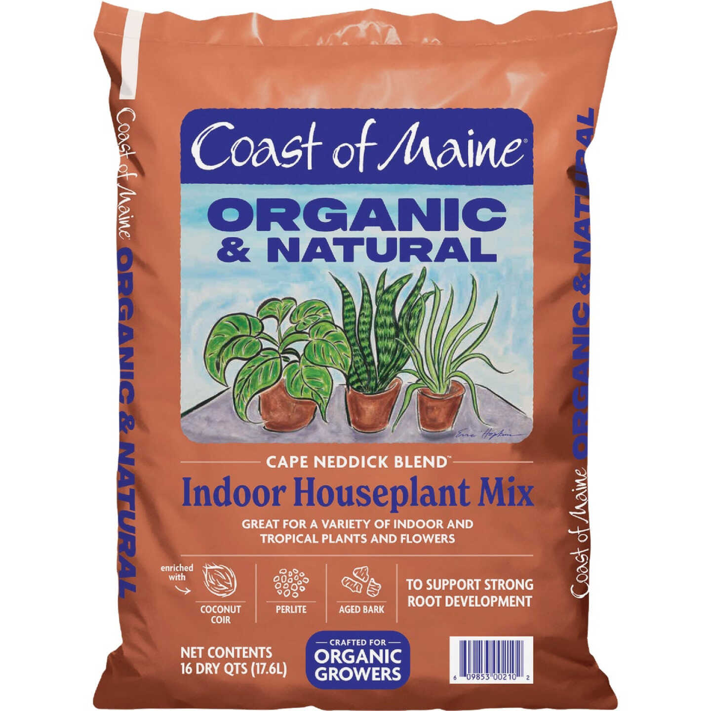 Coast of Maine Cape Neddick Blend 16 Qt. Indoor Houseplant Mix Image 1