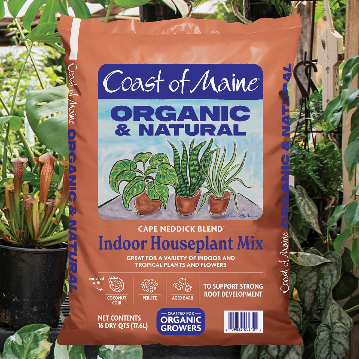 Coast of Maine Cape Neddick Blend 16 Qt. Indoor Houseplant Mix Image 2