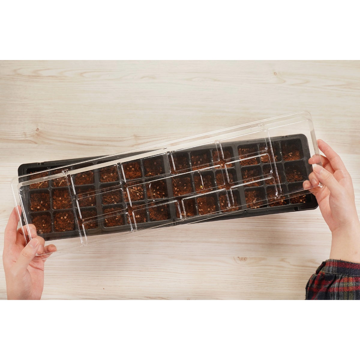 PlantBest 36-Cell Plastic Windowsill Greenhouse Seed Starter Kit Image 5