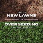 Scotts Turf Builder Rapid Grass 8 Lb. 3000 Sq. Ft. Bermudagrass Seed & Fertilizer Combination Image 6