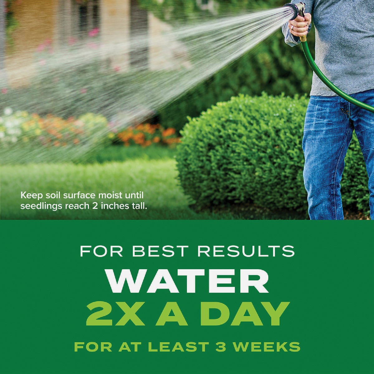 Scotts Turf Builder Rapid Grass 8 Lb. 3000 Sq. Ft. Bermudagrass Seed & Fertilizer Combination Image 5