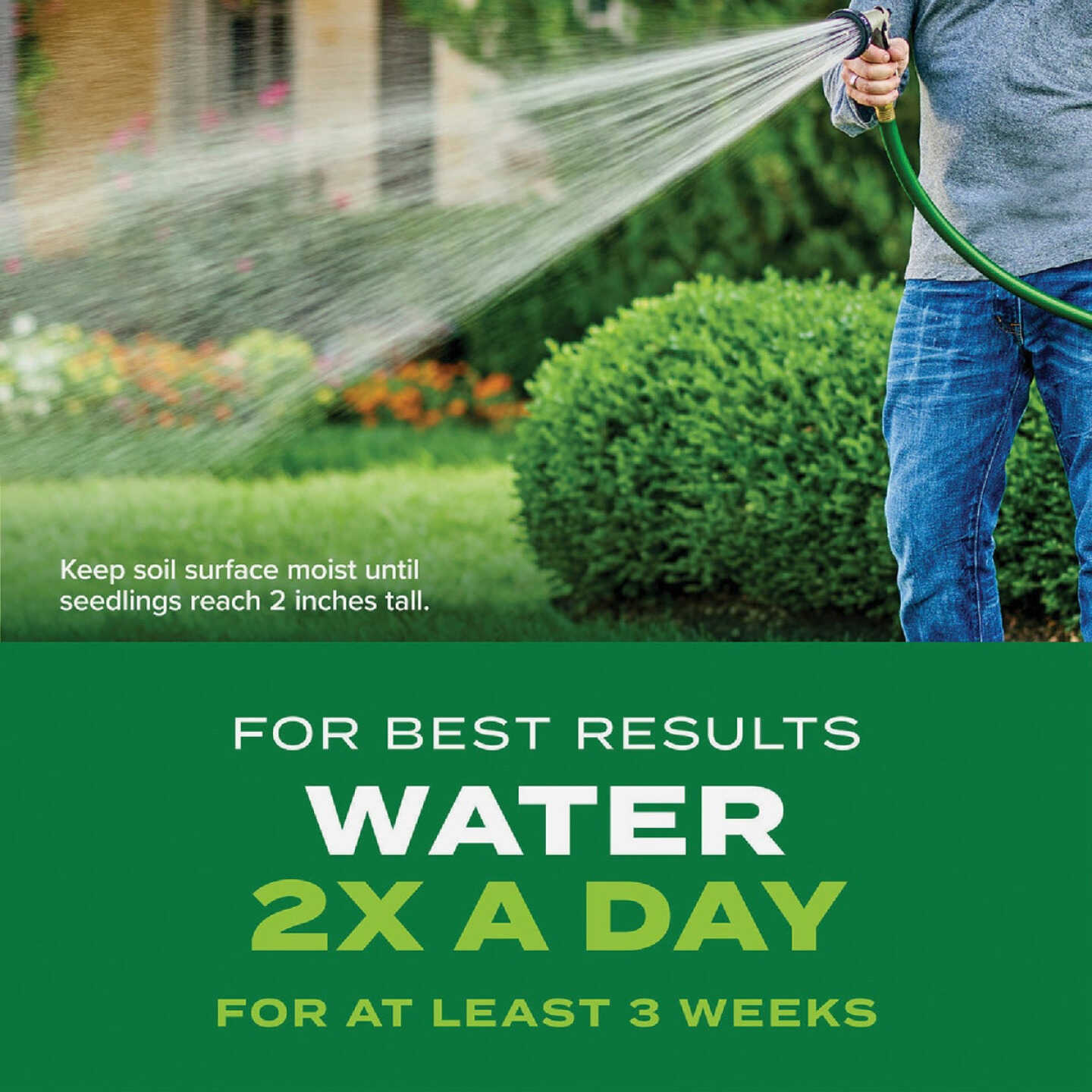 Scotts Turf Builder Rapid Grass 8 Lb. 3000 Sq. Ft. Bermudagrass Seed & Fertilizer Combination Image 5