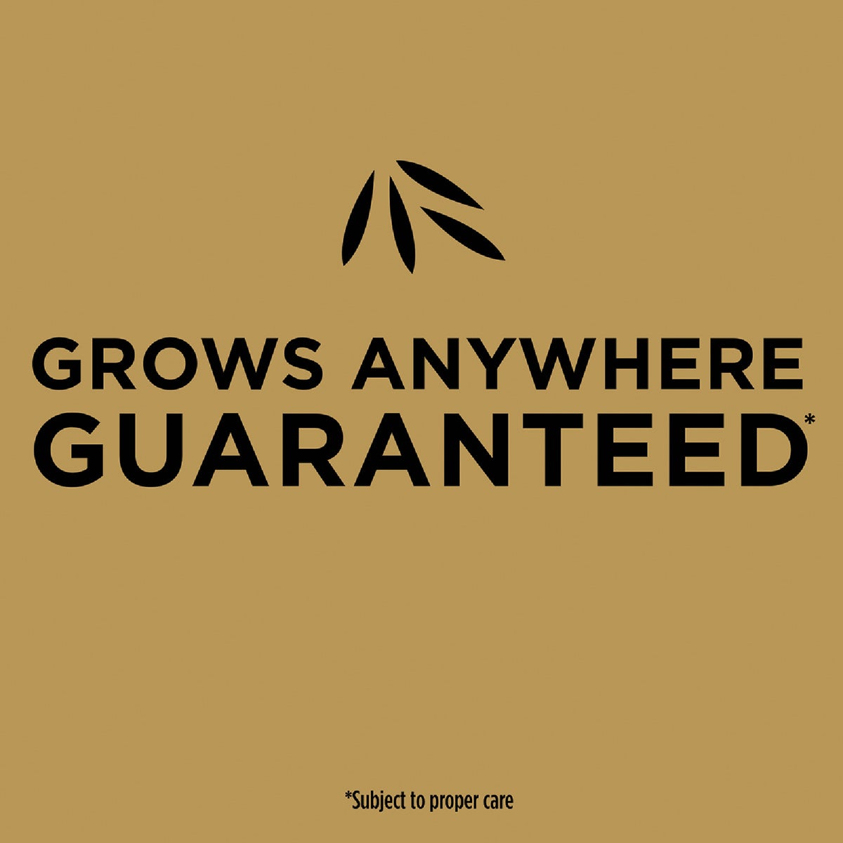 Scotts EZ Seed 3.75 Lb. 85 Sq. Ft. Patch & Repair Sun and Shade Mulch, Seed and Fertilizer Combination Image 3