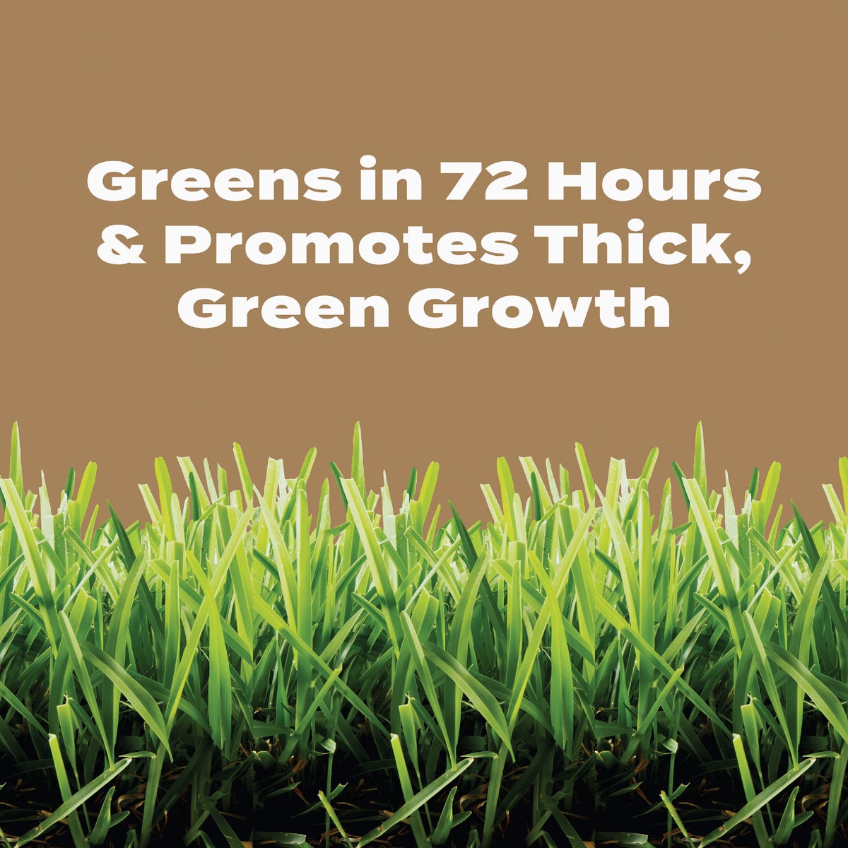 Scotts Turf Builder 22.4 Lb. 8000 Sq. Ft. 29-0-10 Weed & Feed for Texas Lawns Image 5