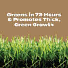 Scotts Turf Builder 22.4 Lb. 8000 Sq. Ft. 29-0-10 Weed & Feed for Texas Lawns Image 5
