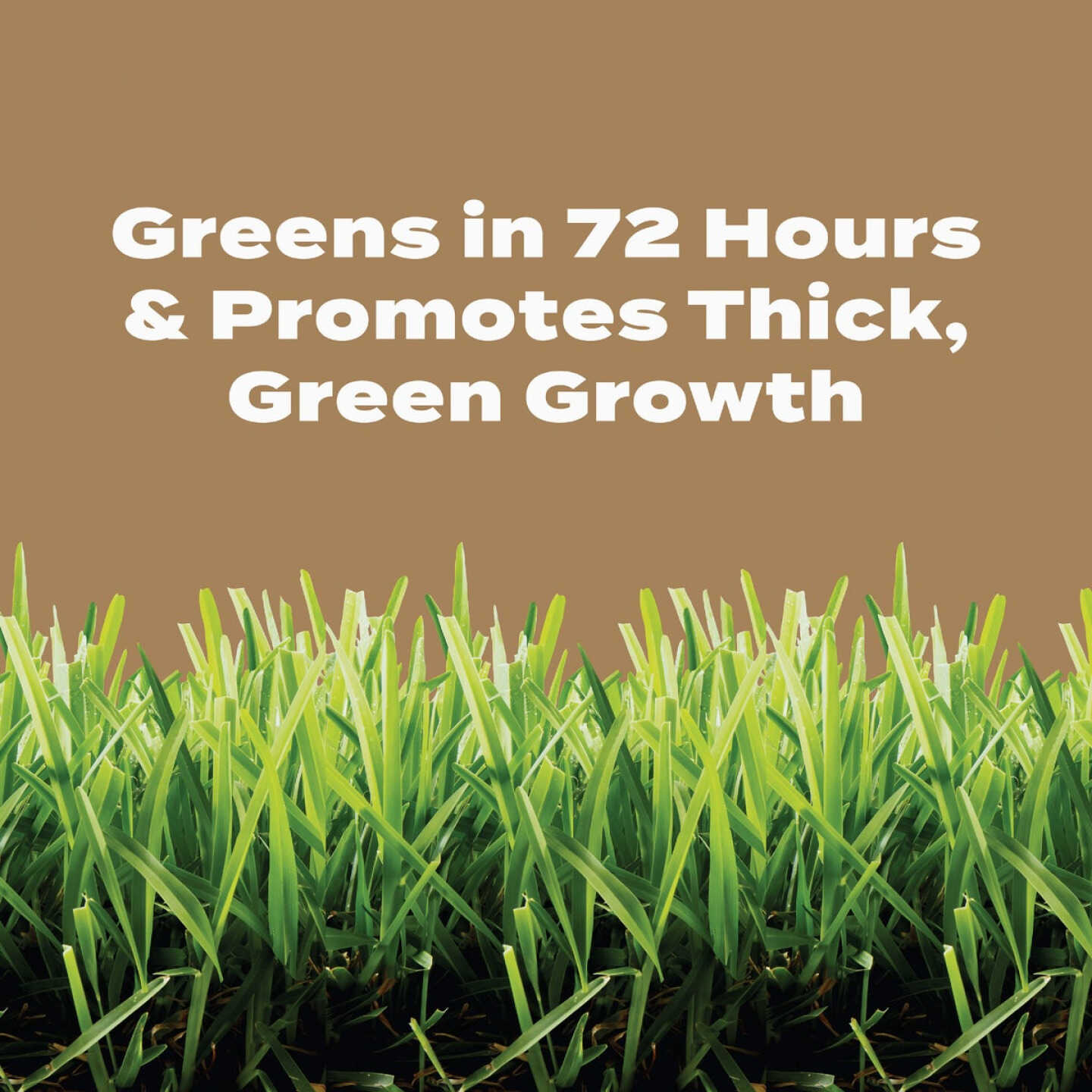 Scotts Turf Builder 22.4 Lb. 8000 Sq. Ft. 29-0-10 Weed & Feed for Texas Lawns Image 5