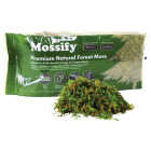 Mossify 5.3 Oz. Premium Natural Forest Moss Image 1