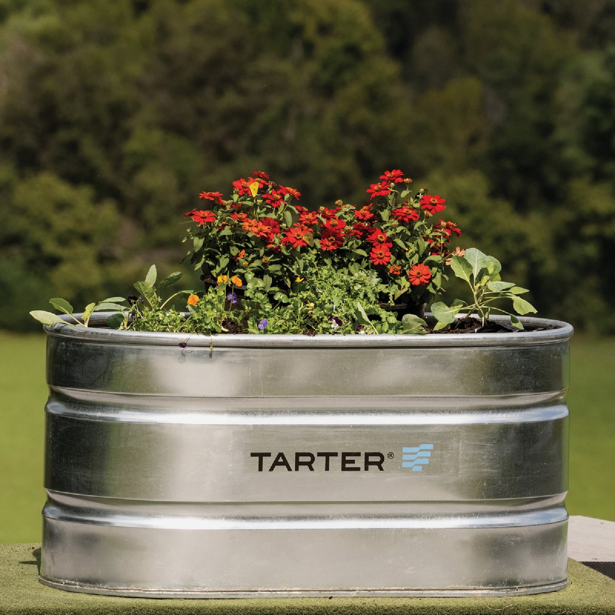 Tarter 100 Gal. Zinc-Coated Steel Galvanized Stock Tank Image 2