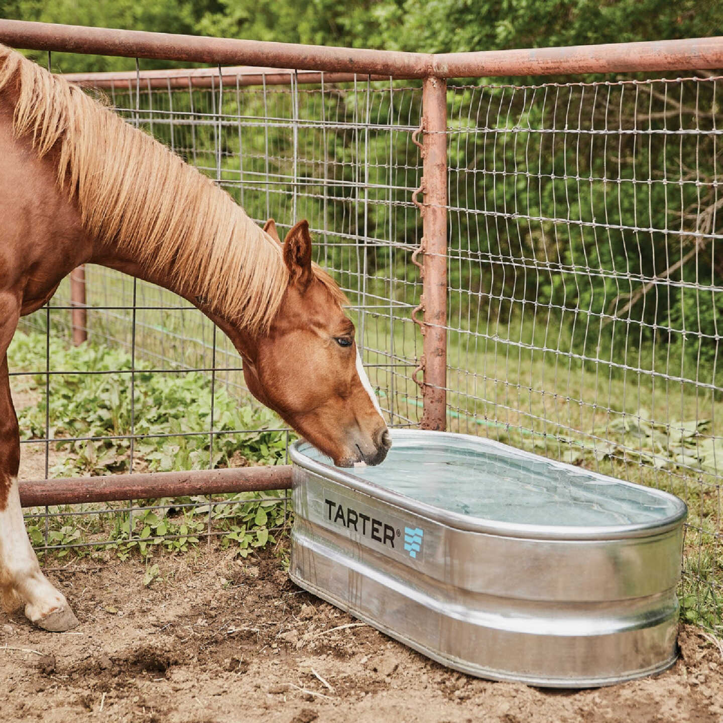Tarter 40 Gal. Zinc-Coated Steel Galvanized Stock Tank Image 2