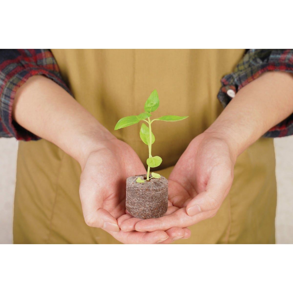 PlantBest Jumbo Coir Pellet Refill (50-Pack) Image 3