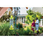 Rescue WHY Reusable Wasp, Hornet, & Yellow Jacket Trap Image 3