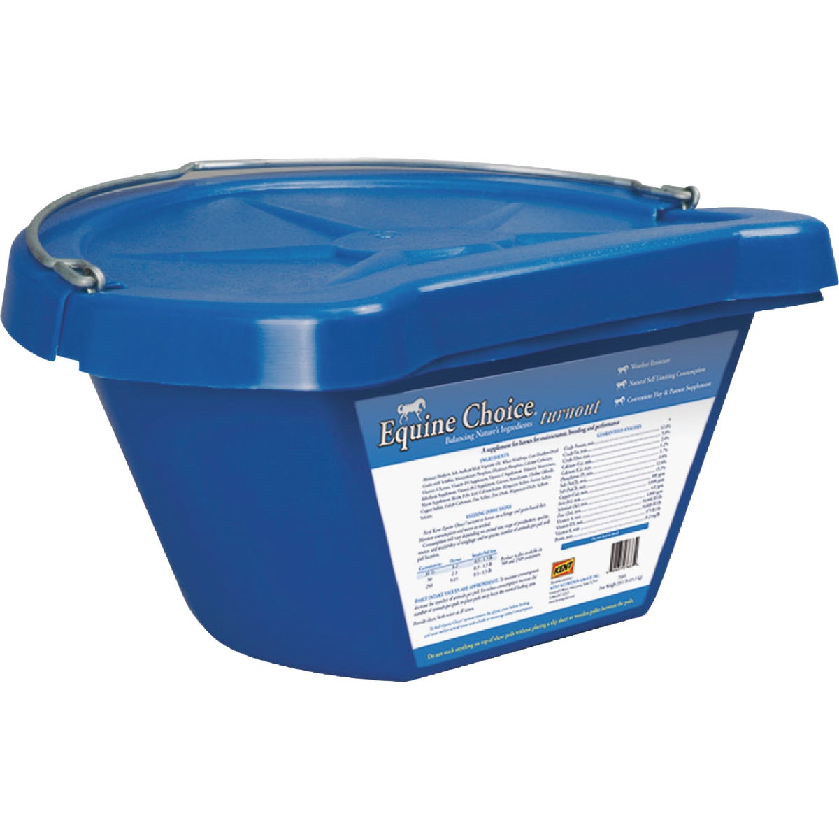 Chapin 18 In. Extension Assembly