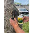 Treekote 16 Oz. Brushtop Applicator Tree Wound Dressing Image 2