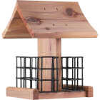 Valley Splendor Cedar Double Suet Bird Feeder Image 1