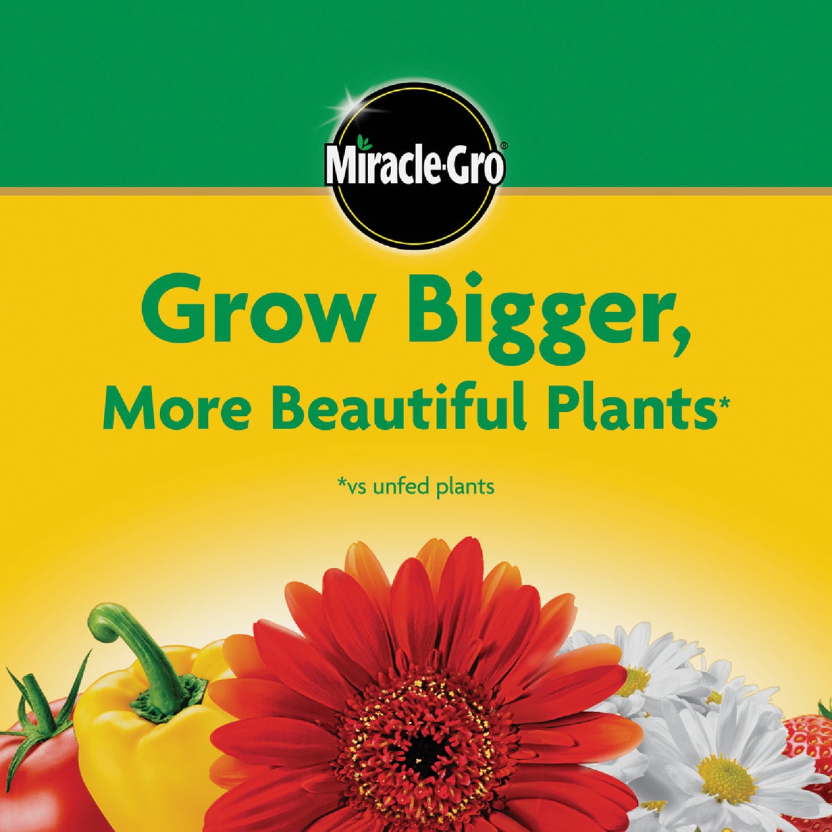 Miracle-Gro 10 Lb. Water Soluble All Purpose Plant Food Image 7