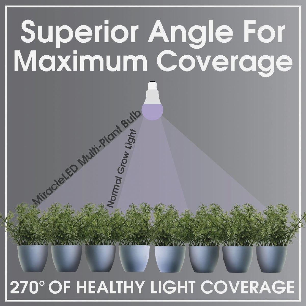 Miracle LED Kitchen Gardener 9W LED Grow Light Kit with SproutMatic Timer Image 4