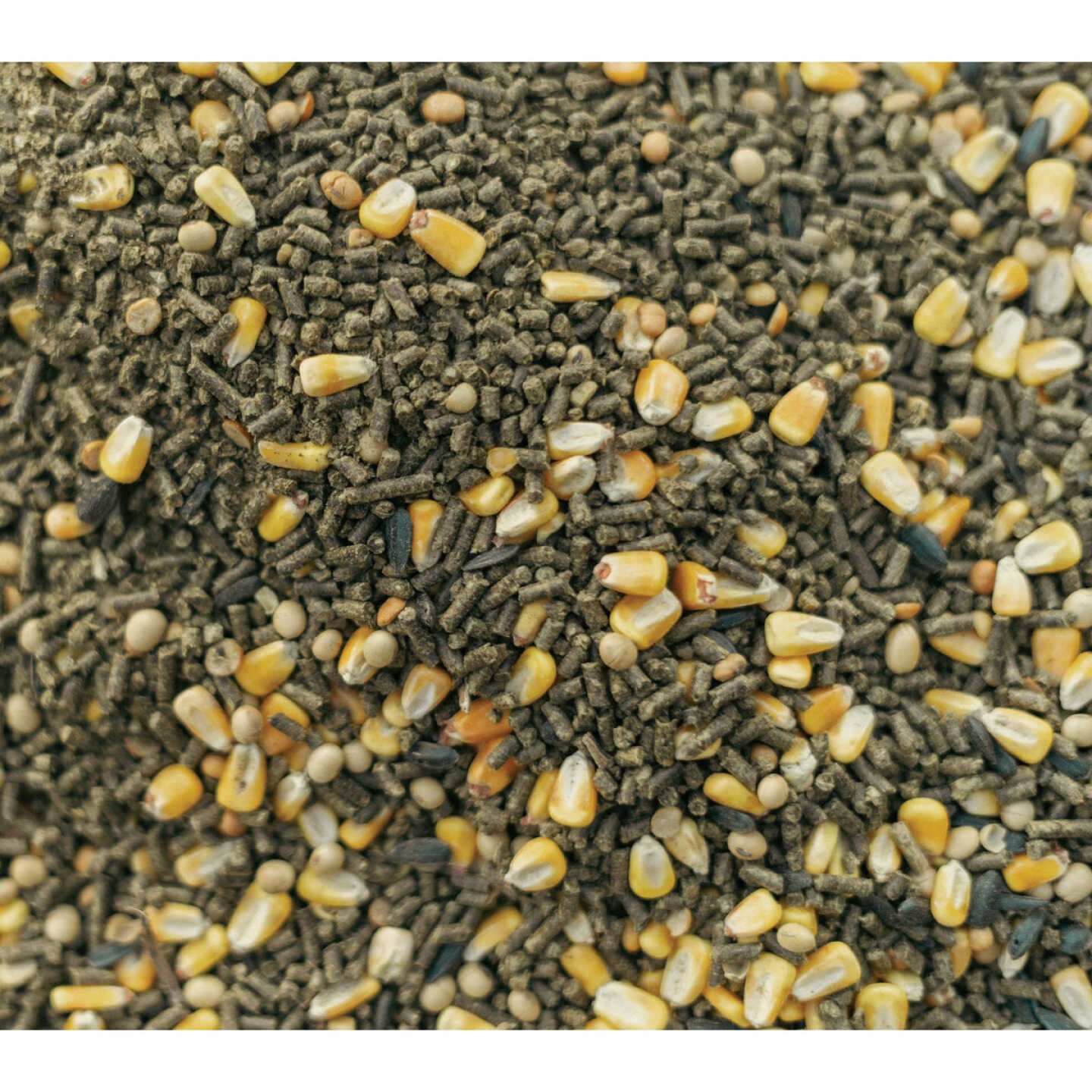 Big Buck Magnet The Harvest Blend 40 Lb. Deer Feed Image 3