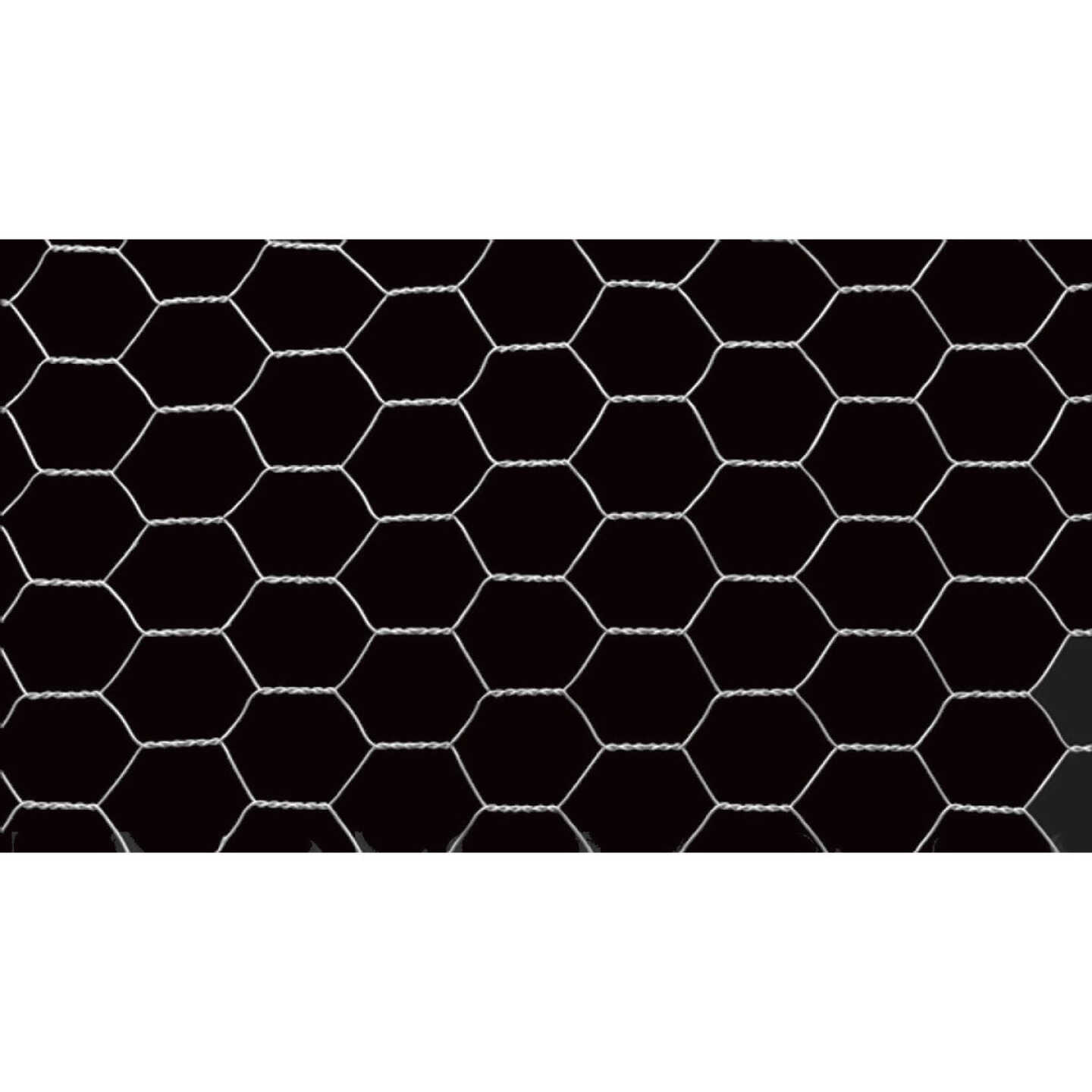 1/2 In. x 24 In. H. x 10 Ft. L. Hexagonal Wire Poultry Netting Image 4
