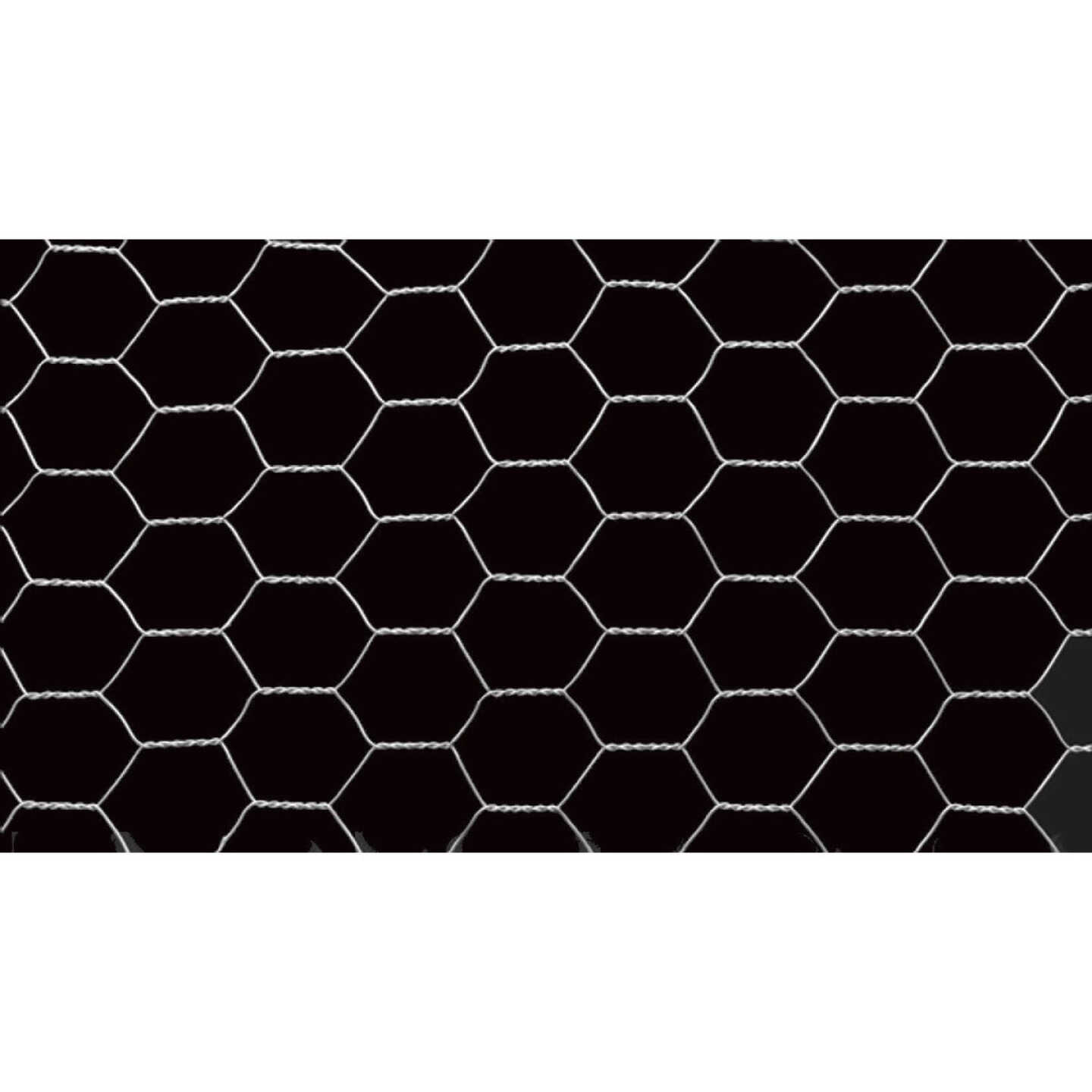 1/2 In. x 36 In. H. x 25 Ft. L. Hexagonal Wire Poultry Netting Image 4