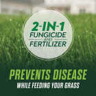 Scotts Turf Builder Healthy Plus Lawn Food FL 4000 Sq. Ft. 2-In-1 Fungicide & Fertilizer Image 3