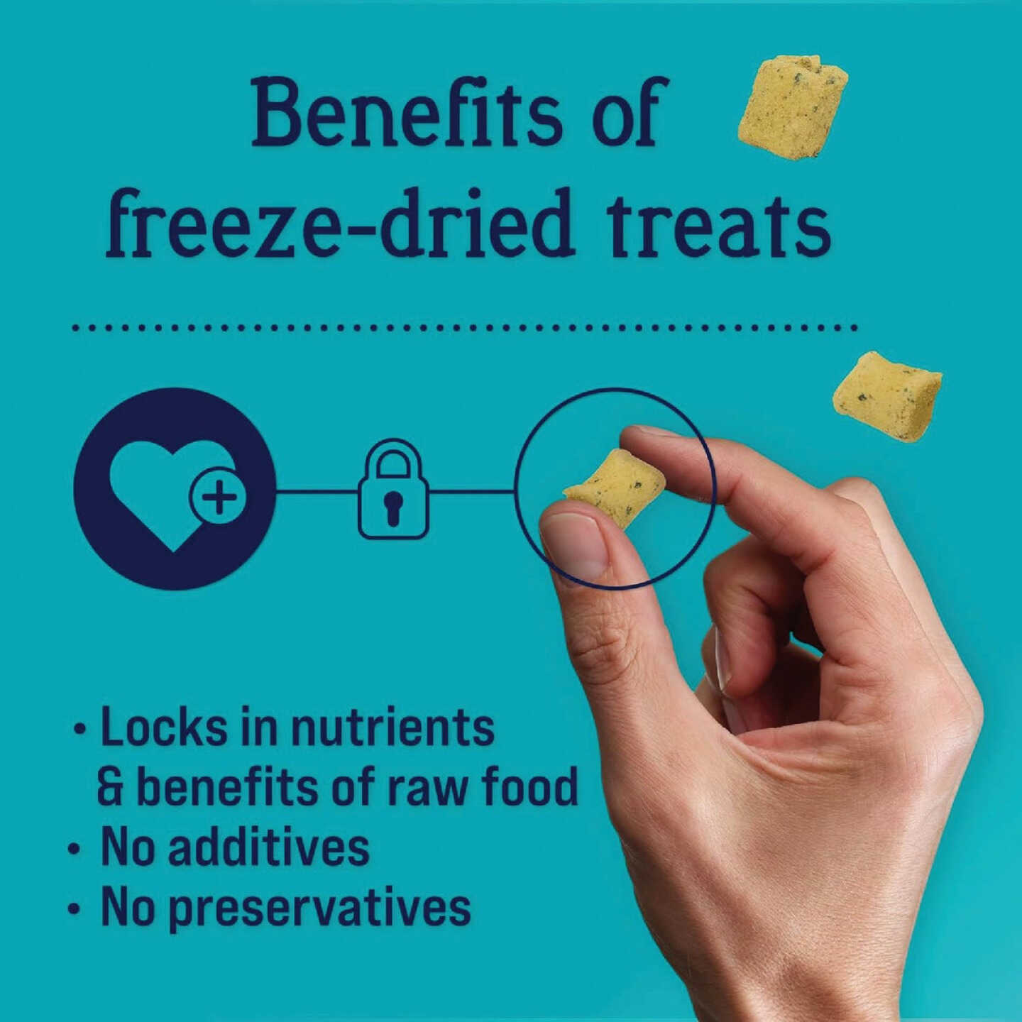 Stewart Shine 4 Oz. Freeze-Fried Salmon & Sweet Potato Dog Treat Image 3