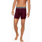 Hanes Men's L Flex Fit Boxer Briefs (3-Pack) Image 2