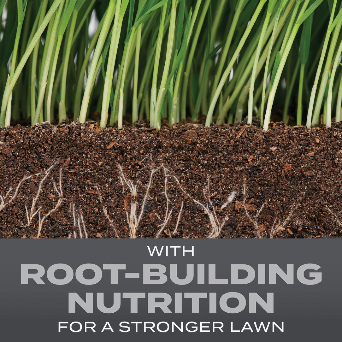 Scotts Turf Builder 2.4 Lb. 200 Sq. Ft. Pacific Northwest Mix Grass Seed, Fertilizer, and Soil Improver Combination Image 2