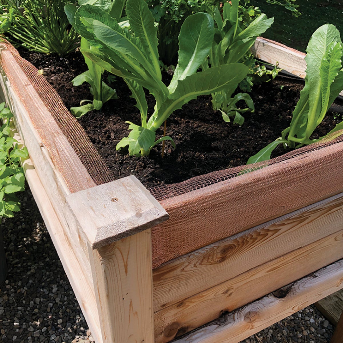 Gonzo Copper Stopper 5 In. x 30 Ft. Slug & Snail Copper Mesh Image 2