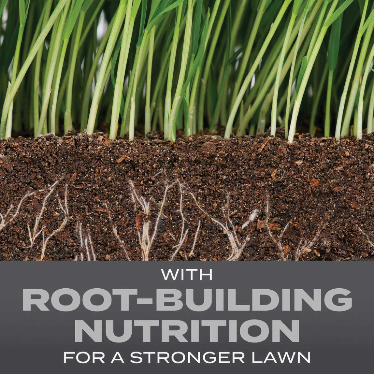 Scotts Turf Builder 5.6 Lb. 465 Sq. Ft. Pacific Northwest Mix Grass Seed, Fertilizer, and Soil Improver Combination Image 2