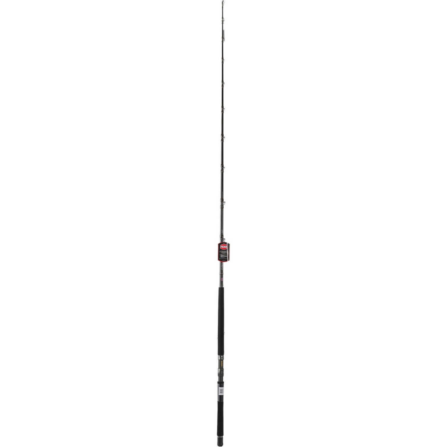 PENN Carnage III Boat Conventional West Coast Rod Image 2