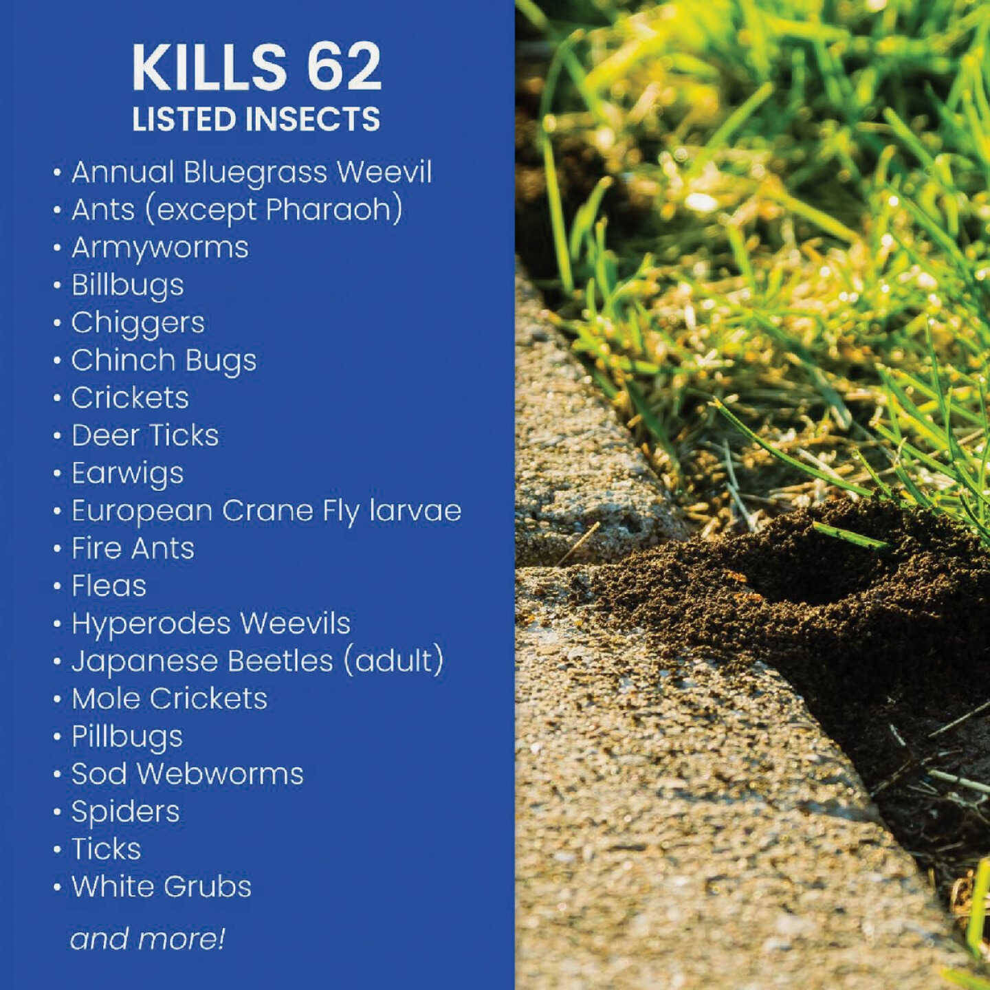 BioAdvanced Complete 32 Oz. Ready To Spray Hose End Insect Killer Image 6