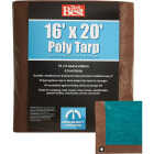 Do it Best 1 Side Green/1 Side Brown Woven 16 Ft. x 20 Ft. Medium Duty Poly Tarp Image 1