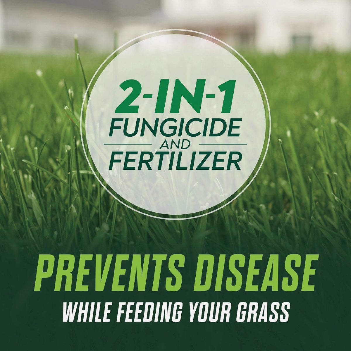 Scotts Turf Builder Healthy Plus Lawn Food FL 8000 Sq. Ft. 2-In-1 Fungicide & Fertilizer Image 3
