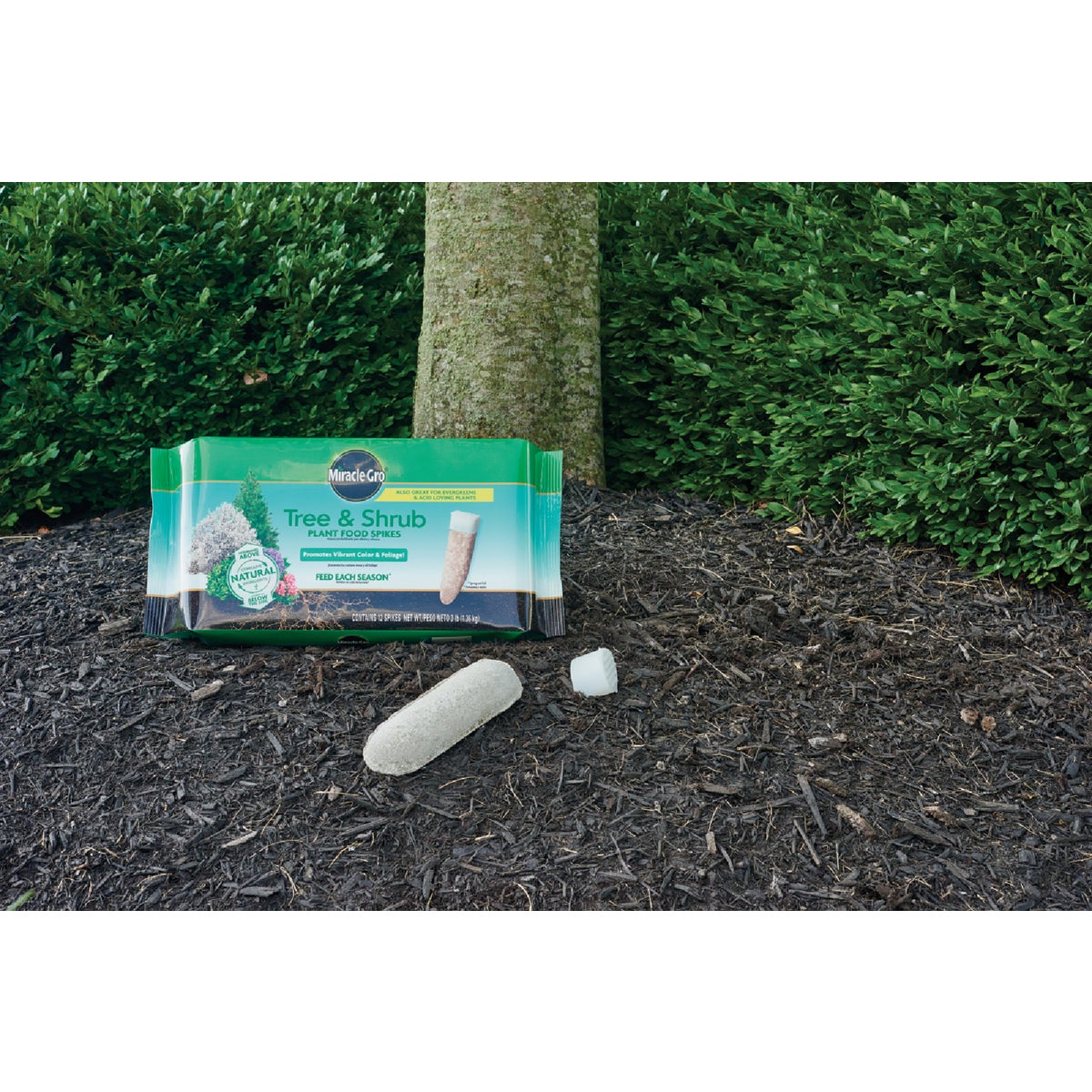Miracle-Gro Tree & Shrub Fertilizer Spikes (12-Pack) Image 3